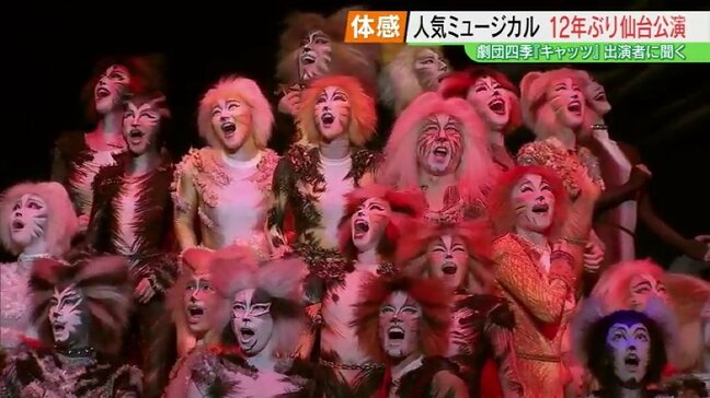 『ネコよりネコらしく』!?観客動員数1100万人以上「劇団四季キャッツ」の魅力に迫る|TBS NEWS DIG