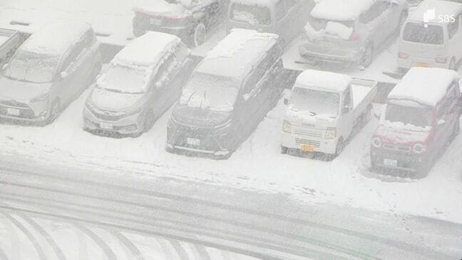 【静岡・2月8日の雪情報】衆院選の投票日 ''横なぐりの雪''に注意を 雪のピークは8日の昼頃か【気象予報士解説】|TBS NEWS DIG
