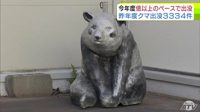 昨年度のクマの出没件数が発表 青森県内は過去最多の3334件 捕獲数も過去最多の1248頭に 2026年は昨年度の倍以上のペースで出没 五所川原市では緊急銃猟のための訓練が初めて実施|TBS NEWS DIG