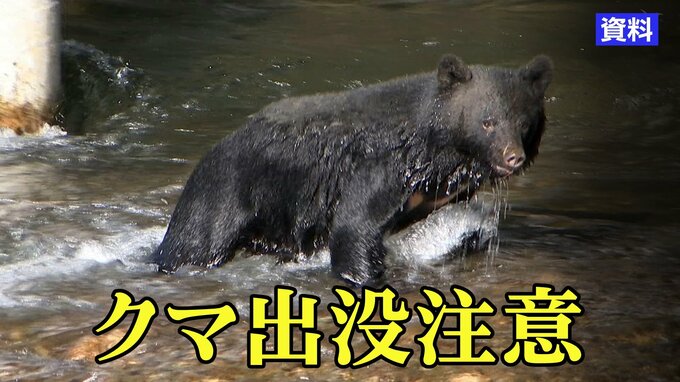 牛舎に居座っていたクマ1頭を県内4例目の緊急銃猟で駆除　ウシ60頭に被害なし　岩手・二戸市|TBS NEWS DIG