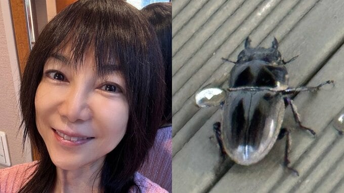 【 堀ちえみ 】　「クワガタに噛まれた！」「最近ではあまり見れないため、懐かしさのあまり、手に取ってしまいました」　鹿児島県・徳之島で|TBS NEWS DIG