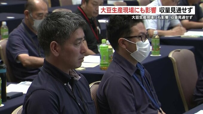 熊本の夏を襲った記録的大雨 大豆生産現場に影響　収穫の影響見通せず　|　熊本のニュース｜RKK NEWS｜RKK熊本放送