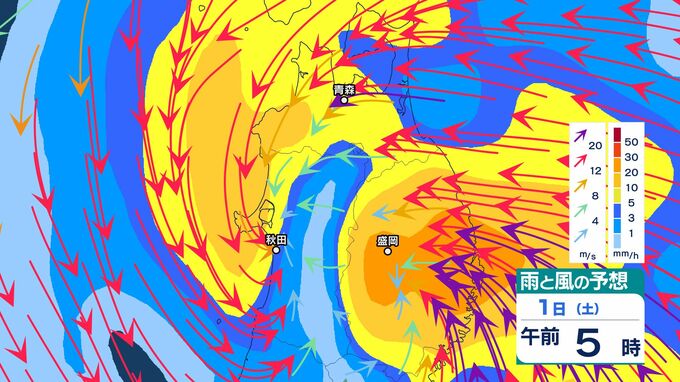 活発な“巨大な雨雲”が… 青森県内は11月1日に24時間で100ミリの「警報級の大雨」が降る可能性あり 暴風も… 気象台が注意・警戒を呼びかけ【1時間ごとの雨と風の予想シミュレーション(北東北版あり)】|TBS NEWS DIG