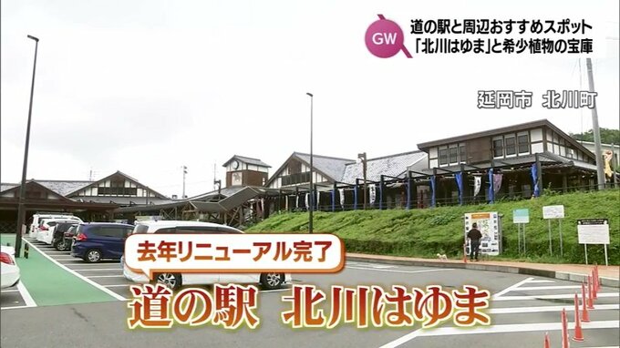人気のグルメがたくさん「道の駅はゆま」と希少植物の宝庫 ゴールデンウィークに寄りたい道の駅と周辺のおすすめスポット(3) | MRTニュース | MRT宮崎放送