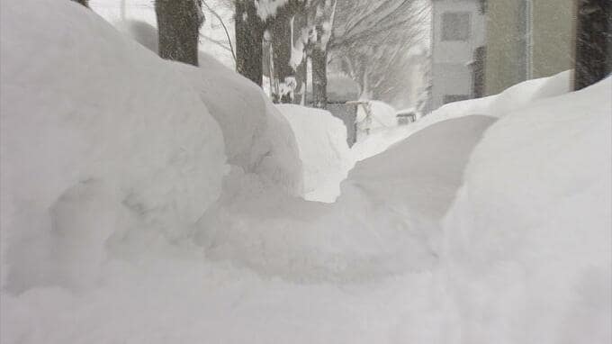 青森市内の小中学校　10日以降は通学路を見守り指導の上で" 通常登校"に  下校時も見守り対応　なお校長判断で登下校時間の変更や遠隔授業の場合あり　記録的大雪の青森|TBS NEWS DIG