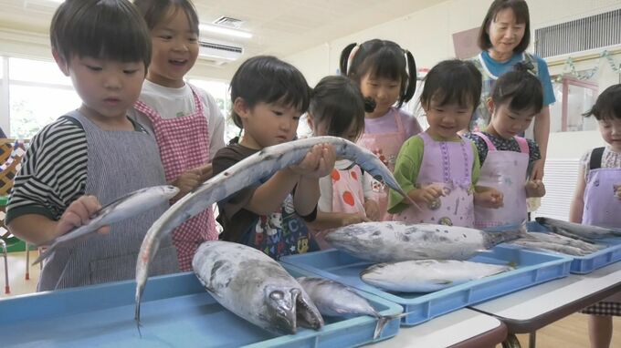 子どもたちが地元の魚を学ぶ　「マイワシ」をハンバーグにして…「おいしかった！」「やさしいあじがした！」　記録的豊漁の一方で、課題も…|TBS NEWS DIG