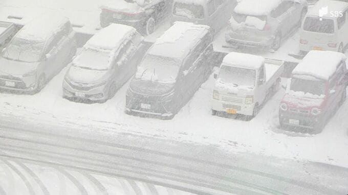 【静岡・2月8日の雪情報】衆院選の投票日 ''横なぐりの雪''に注意を 雪のピークは8日の昼頃か【気象予報士解説】|TBS NEWS DIG