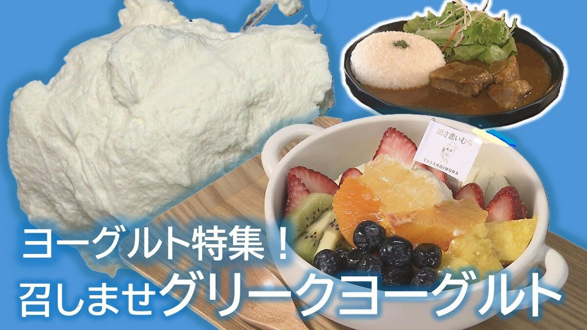 流行に乗っかっちゃいました」もっちり濃厚！グリークヨーグルトを使っ