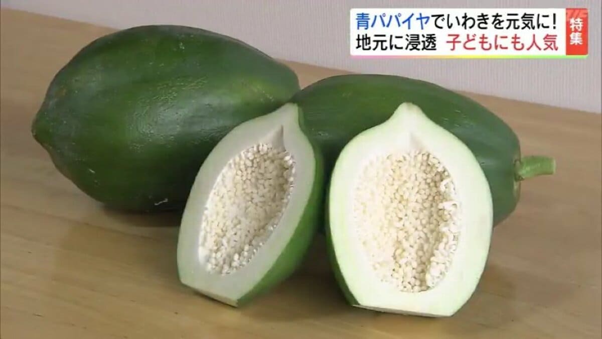 苦労の連続…東北で「青パパイヤ」作り 脱サラ男性の挑戦 サラダや