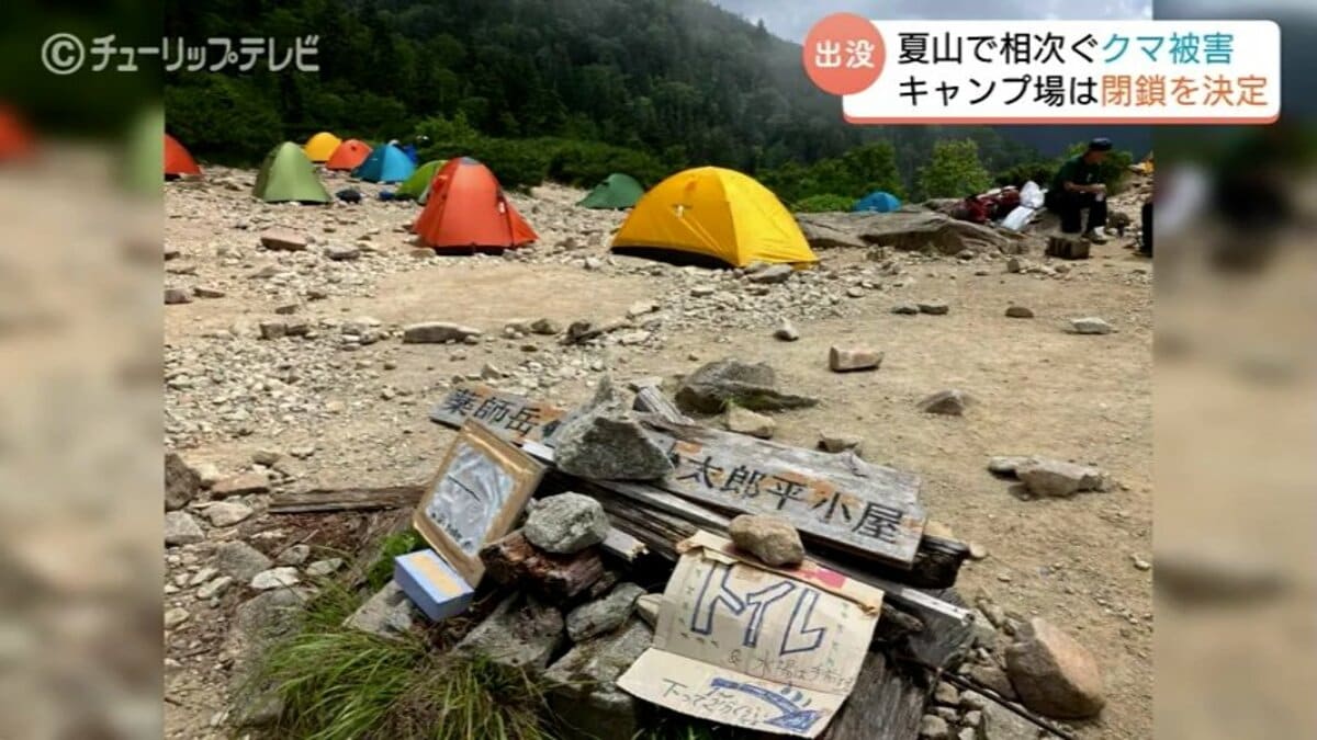 逃げ隠れしないクマが増えてきてしまった…」キャンプ場のテントや食料 