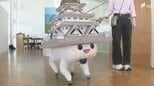 「全日本広告連盟静岡大会」静岡市で開催  広告業界の発展に貢献した広告活動を表彰 徳川家康AI「スンプー」も登場|TBS NEWS DIG