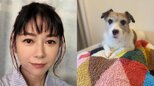 【 真木よう子 】愛犬シェリーが入院〝どうか少しだけ力を貸して下さい〟フォロワーから回復への願い集まる|TBS NEWS DIG