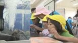 約１００種類の海洋生物が集合　大学生が作るミニ水族館　|　MRTニュース ｜ ＭＲＴ宮崎放送