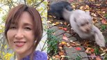 【 工藤静香 】　自宅のお庭で愛犬が全力疾走　投稿動画にファン反響　「ワンちゃん達元気いっぱいで楽しそう」「すんごい豪邸」「お庭素敵すぎるよ！公園だね！」|TBS NEWS DIG