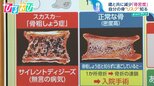 一か所の骨折が“骨折の連鎖”に…知っておきたい自分の骨“リスク” 骨粗しょう症予備軍チェックリストも【ひるおび】|TBS NEWS DIG