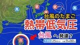 【台風情報】11月下旬なのに...「台風のたまご」熱帯低気圧が発生　あす（25日）にも台風に発達へ　今後の進路は？　全国各地の天気シミュレーション【気象庁 24日発表】	　|　岡山・香川のニュース | 天気 | RSK山陽放送