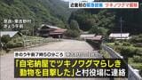 近畿初「クマ緊急銃猟」住民から連絡受け確認→警察など協議し村が実施決定→麻酔銃を撃ち捕獲後に殺処分　奈良・東吉野村|TBS NEWS DIG
