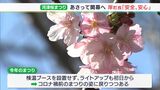2月20日前後が見頃　河津桜まつり　ライトアップも初日から復活＝静岡・河津町|TBS NEWS DIG