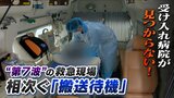 「39℃超の高熱」「酸素飽和度は中等症2に該当」でも入院先がすぐに見つからず搬送車両で待機も..."第7波の救急現場"はまだ見えぬピークを前に『非常事態』|TBS NEWS DIG