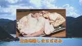 いま注目！ 離島の激レア食材 五島地鶏しまさざなみ 肉の旨味に加え骨からも美味しい出汁　|　長崎のニュース | 天気 | NBC長崎放送