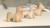 戦国時代の「安産のお守り」犬型土製品を公開 出土品計120点を展示 大分県立埋蔵文化財センターで企画展 | 大分のニュース|OBS NEWS|大分放送