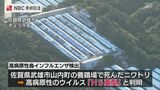 長崎県内にも消毒ポイント設置 佐賀の養鶏場で高病原性鳥インフルエンザ検出 | 長崎のニュース | 天気 | NBC長崎放送