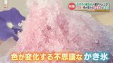 色が変わる不思議なかき氷 園芸店がチャレンジした商品とは | 熊本のニュース|RKK NEWS|RKK熊本放送