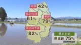 過去10年で最も早く作業が進む 岩手県内の田植えの進捗状況(5月20日現在)|TBS NEWS DIG