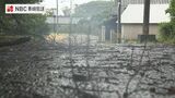 台風6号 次第に長崎県内から遠ざかる 長崎市で高齢者3人が風にあおられケガ | 長崎のニュース | 天気 | NBC長崎放送