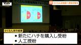 不作続くサクランボの生産を増加へ　徹底した受粉対策を呼びかけ（山形）　|　山形のニュース│TUYテレビユー山形