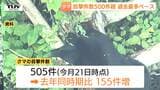 過去最多ペース…今年クマ目撃500件超　きょうもコミセン近くや線路上に出没　市街地での増加に注意（山形）|TBS NEWS DIG