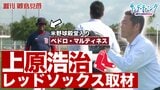上原浩治さんがレッドソックス取材でレジェンドとキャッチボール!?【サンデーモーニング】|TBS NEWS DIG