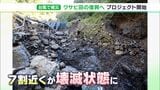 「上から土砂かぶり もう言葉にならない…」台風15号で甚大被害 静岡自慢の味“ワサビ”を救え!クラファンで支援 返礼品は本わさび | 静岡のニュース | SBSNEWS | 静岡放送
