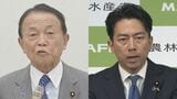 自民・麻生氏と小泉農水大臣が会談 30分にわたりコメ問題や党内情勢など意見交換か 麻生氏は「ポスト石破」と相次ぎ会談|TBS NEWS DIG