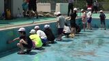 「なんか面倒くさいことでもみんなでやると楽しい」ボランティアが被災地の児童と一緒にプール清掃 　|　石川県のニュース｜MRO北陸放送