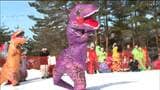 「通常のレースより楽しい」幼獣から成獣までティラノサウルスたちが雪上を駆け抜ける 宮城・七ヶ宿町 | 宮城のニュース│tbc NEWS│tbc東北放送