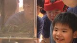 70年以上続く交流行事「友情の蛍」今年も大分県竹田市の小学生がホタル222匹を贈る | 大分のニュース|OBS NEWS|大分放送