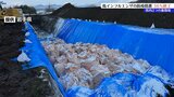 県内2つの養鶏場で鳥インフルエンザ感染のため行われている殺処分 進捗36% 岩手|TBS NEWS DIG