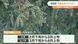花粉症注意「発症前の初期治療が大切」今年の飛散量 去年の1.4倍 ピークは2月下旬~4月上旬 大分 | 大分のニュース|OBS NEWS|大分放送