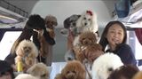 ワンちゃんと白馬村の大自然へ ”ずっとふれあいながら”愛犬とバスツアー 　|　石川県のニュース｜MRO北陸放送