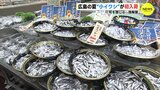 「旬を感じる」 広島の夏 “小イワシ” が初入荷　スーパーの店頭でも人気　漁解禁　|　RCC NEWS | 広島ニュース | RCC中国放送
