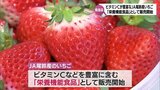 ビタミンCなど豊富　JA尾鈴産のいちごが「栄養機能食品」に　|　MRTニュース ｜ ＭＲＴ宮崎放送