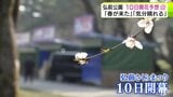「やっと春が来た」「気分も晴れる」弘前公園内のソメイヨシノの開花予想は前回と変わらず4月10日　平年より12日早く過去2番目の早咲きと見込む　近づく春本番　|　青森のニュース│ATV NEWS│青森テレビ