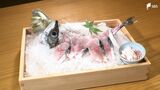 サバを生で!?食べられます 秘密は…陸上養殖+地下の海水「新たな地元の名産に」=静岡・清水区 | 静岡のニュース | SBSNEWS | 静岡放送