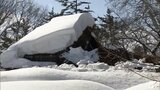 【詳報】今季は1度も屋根の雪下ろしが行われず… 江戸時代末期の青森県を代表する建物が雪の重さで崩れる 2002年に県重宝指定の「旧坪田家住宅」 | 青森のニュース│ATV NEWS│青森テレビ