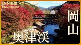 奥津渓・渓谷美とともに楽しめる紅葉【JNN 紅葉ドローンDIG】|TBS NEWS DIG