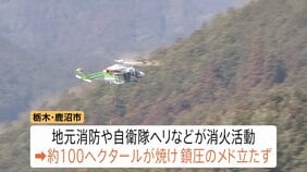 関東各地で山火事相次ぐ　自衛隊ヘリなどが消火活動　栃木・鹿沼市　茨城・常陸太田市　ともに未だ延焼続く　神奈川・小田原市　鎮圧も消防隊員1名が体調不良で緊急搬送|TBS NEWS DIG