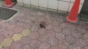 【速報】集合住宅から転落し歩行者の女性を巻き込み死亡させた疑い 29歳男を重過失致死の疑いで逮捕 名古屋・中区|TBS NEWS DIG