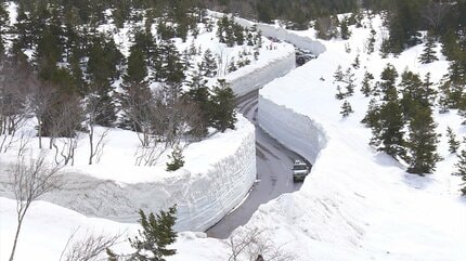 リトグラフ　都市の雪 国道103号に“雪の回廊” 一般開放で通行開始 「春の八甲田の象徴！雄大