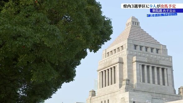 36年ぶり真冬の総選挙　岩手1区は4人が激突、2区は一騎打ち、3区は三つどもえか　27日公示　2月8日投開票へ　|　IBC NEWS | IBC岩手放送